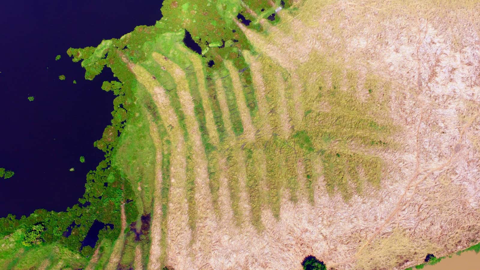 Fig. 1 Zenu Ancestral Hydrotechnology, Colombia (Source: Jordi Morató Farreras, 2020).