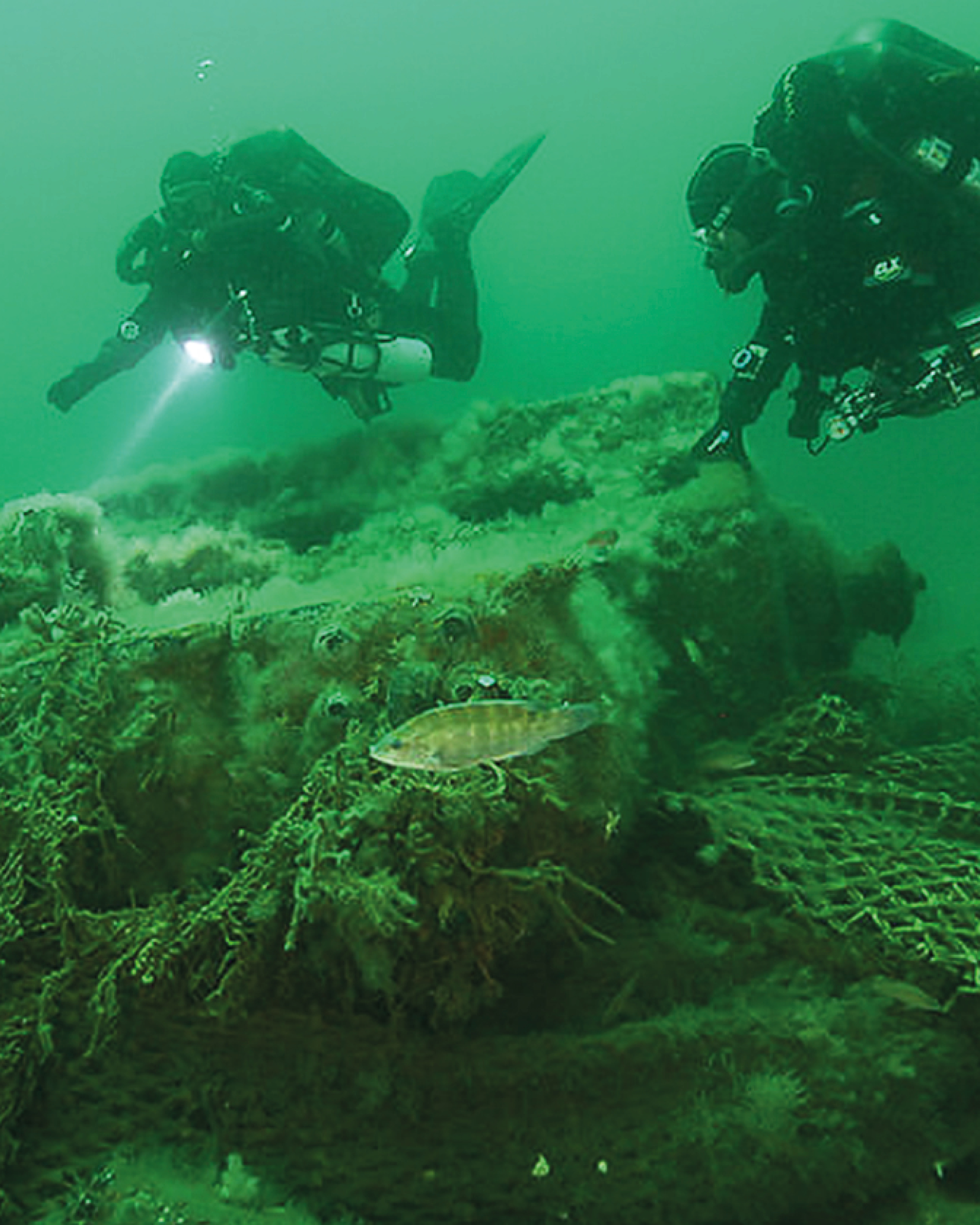 A diver examines debris left from fishing gear in the Stellwagen Bank Marine Sanctuary, a nationally protected area in the United States that allows trawling and fishing within its borders.
